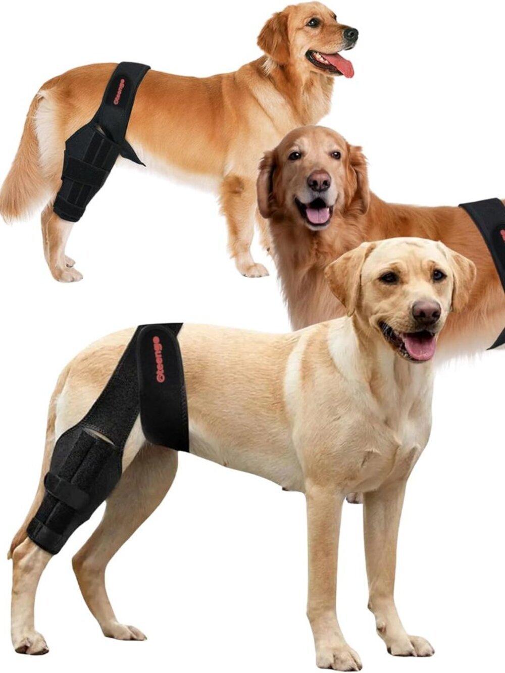 Dog Knee Brace for Torn ACL Hind Leg Dog Knee Braces